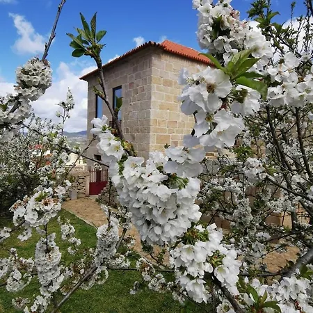 Solar Dos Condes Da Azenha Дом отдыха