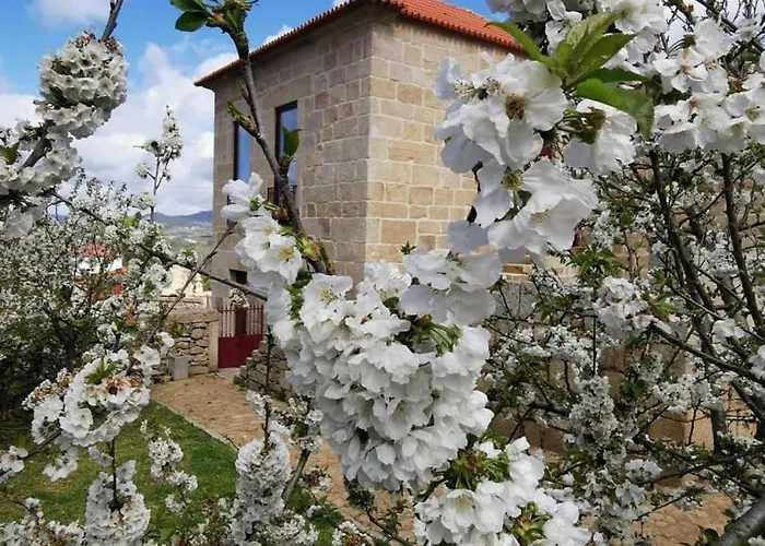 Solar Dos Condes Da Azenha Nyaraló